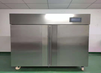 字畫恒溫恒濕儲藏柜